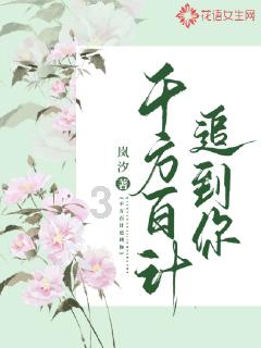 真三国无双8